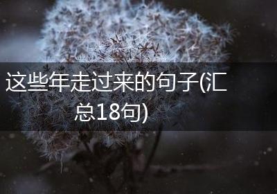 这些年走过来的句子(汇总18句)
