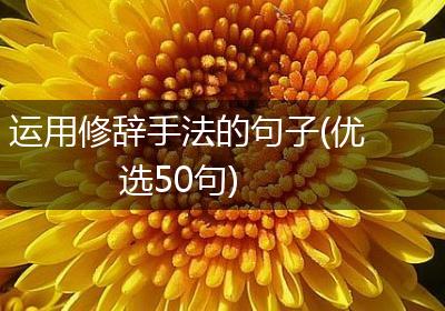 运用修辞手法的句子(优选50句)