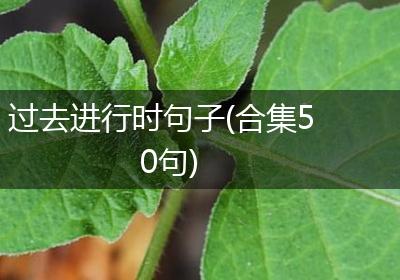 过去进行时句子(合集50句)