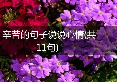 辛苦的句子说说心情(共11句)