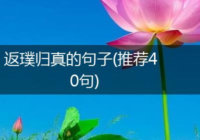 返璞归真的句子(推荐40句)