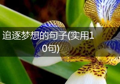 追逐梦想的句子(实用10句)
