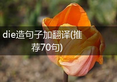 die造句子加翻译(推荐70句)