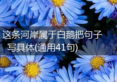 这条河岸属于白鹅把句子写具体(通用41句)