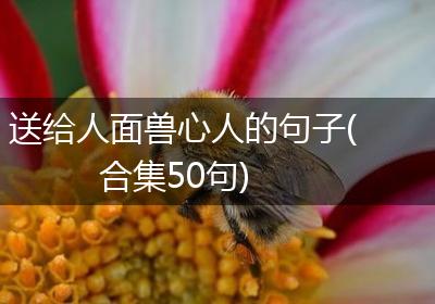 送给人面兽心人的句子(合集50句)