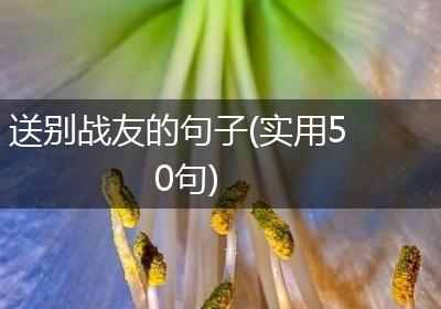 送别战友的句子(实用50句)