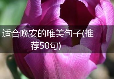 适合晚安的唯美句子(推荐50句)