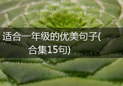 适合一年级的优美句子(合集15句)
