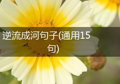 逆流成河句子(通用15句)