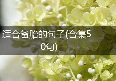 适合备胎的句子(合集50句)