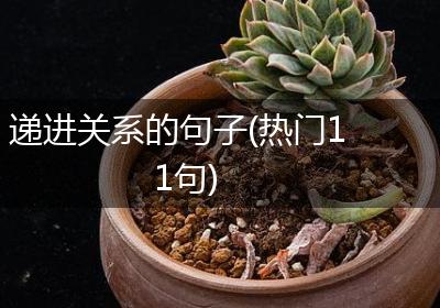 递进关系的句子(热门11句)