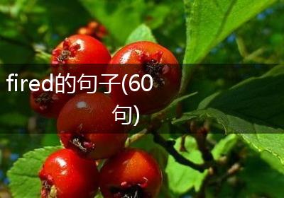 fired的句子(60句)