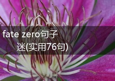 fate zero句子迷(实用76句)