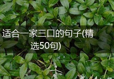 适合一家三口的句子(精选50句)