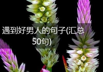 遇到好男人的句子(汇总50句)
