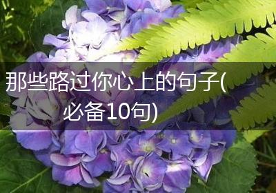 那些路过你心上的句子(必备10句)