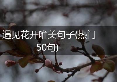 遇见花开唯美句子(热门50句)