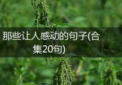 那些让人感动的句子(合集20句)