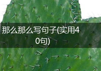 那么那么写句子(实用40句)