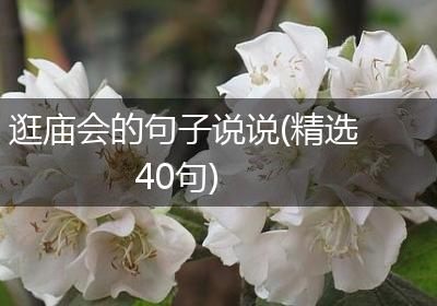 逛庙会的句子说说(精选40句)