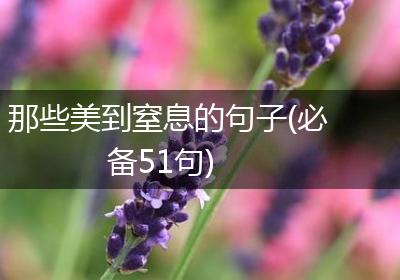 那些美到窒息的句子(必备51句)