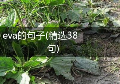 eva的句子(精选38句)