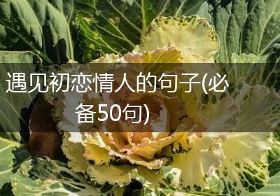 遇见初恋情人的句子(必备50句)