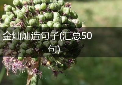 金灿灿造句子(汇总50句)
