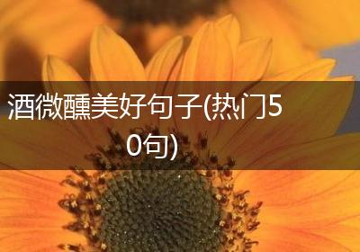 酒微醺美好句子(热门50句)