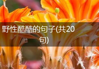 野性酷酷的句子(共20句)