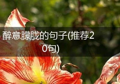 醉意朦胧的句子(推荐20句)