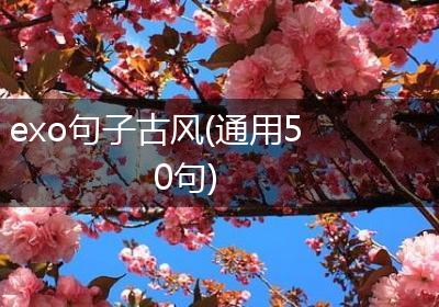 exo句子古风(通用50句)