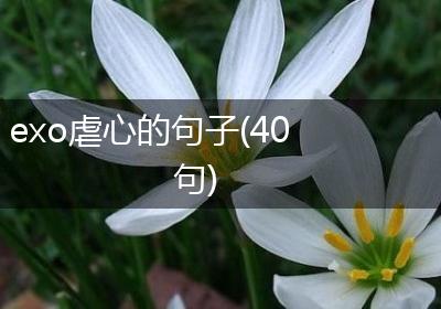 exo虐心的句子(40句)