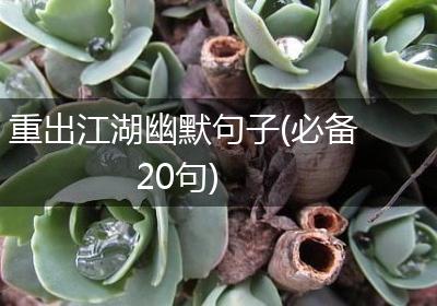重出江湖幽默句子(必备20句)