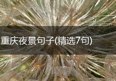 重庆夜景句子(精选7句)
