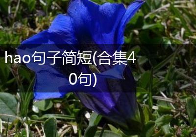 hao句子简短(合集40句)