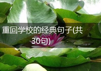 重回学校的经典句子(共30句)