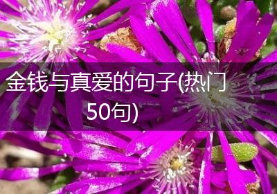 金钱与真爱的句子(热门50句)