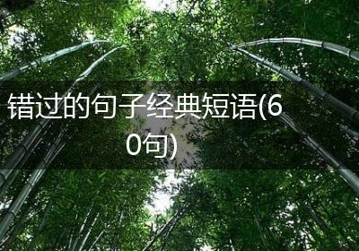 错过的句子经典短语(60句)