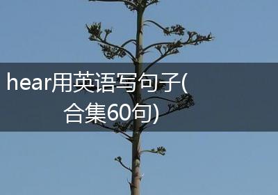 hear用英语写句子(合集60句)