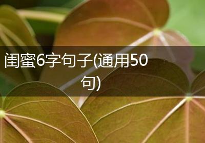 闺蜜6字句子(通用50句)