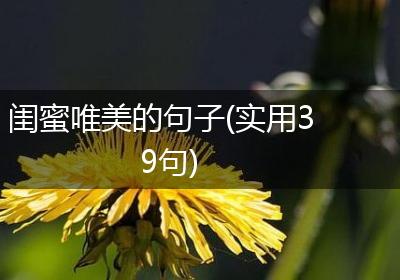闺蜜唯美的句子(实用39句)