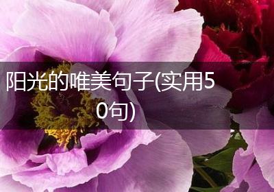 阳光的唯美句子(实用50句)