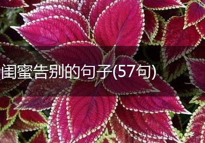 闺蜜告别的句子(57句)