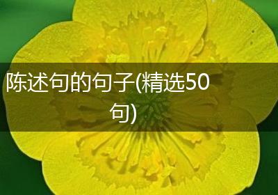 陈述句的句子(精选50句)