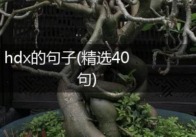 hdx的句子(精选40句)