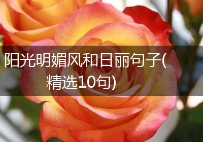 阳光明媚风和日丽句子(精选10句)