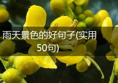 雨天景色的好句子(实用50句)
