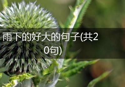 雨下的好大的句子(共20句)