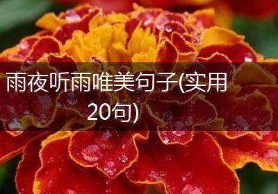 雨夜听雨唯美句子(实用20句)